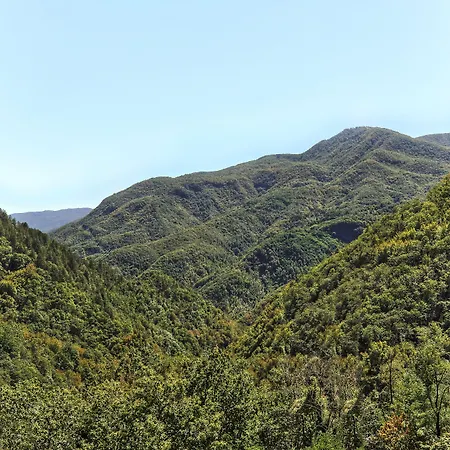 Le Scope * Molazzana